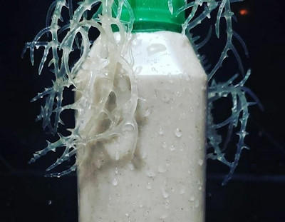 Sea Moss Meal Replacement Tonic