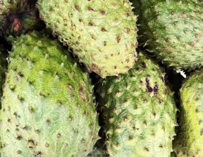 Soursop Juice Plain